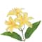 12.5" Lily Bush by Ashland®